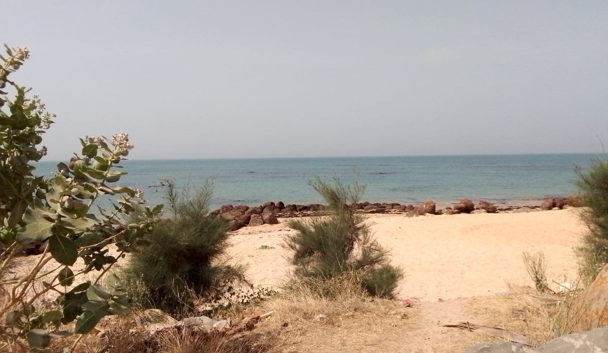 Terrain de 1148m2 à Ngaparou 07