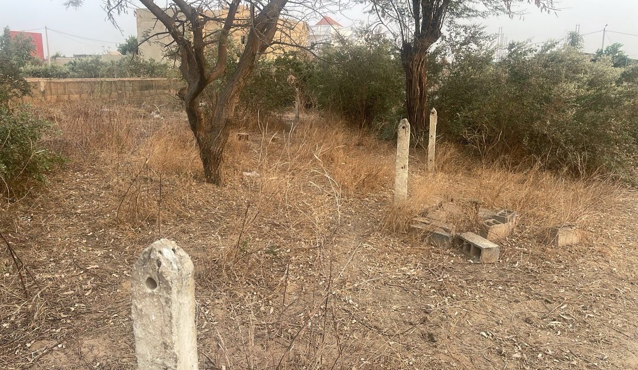 Terrain de 200m2 à malicounda 02