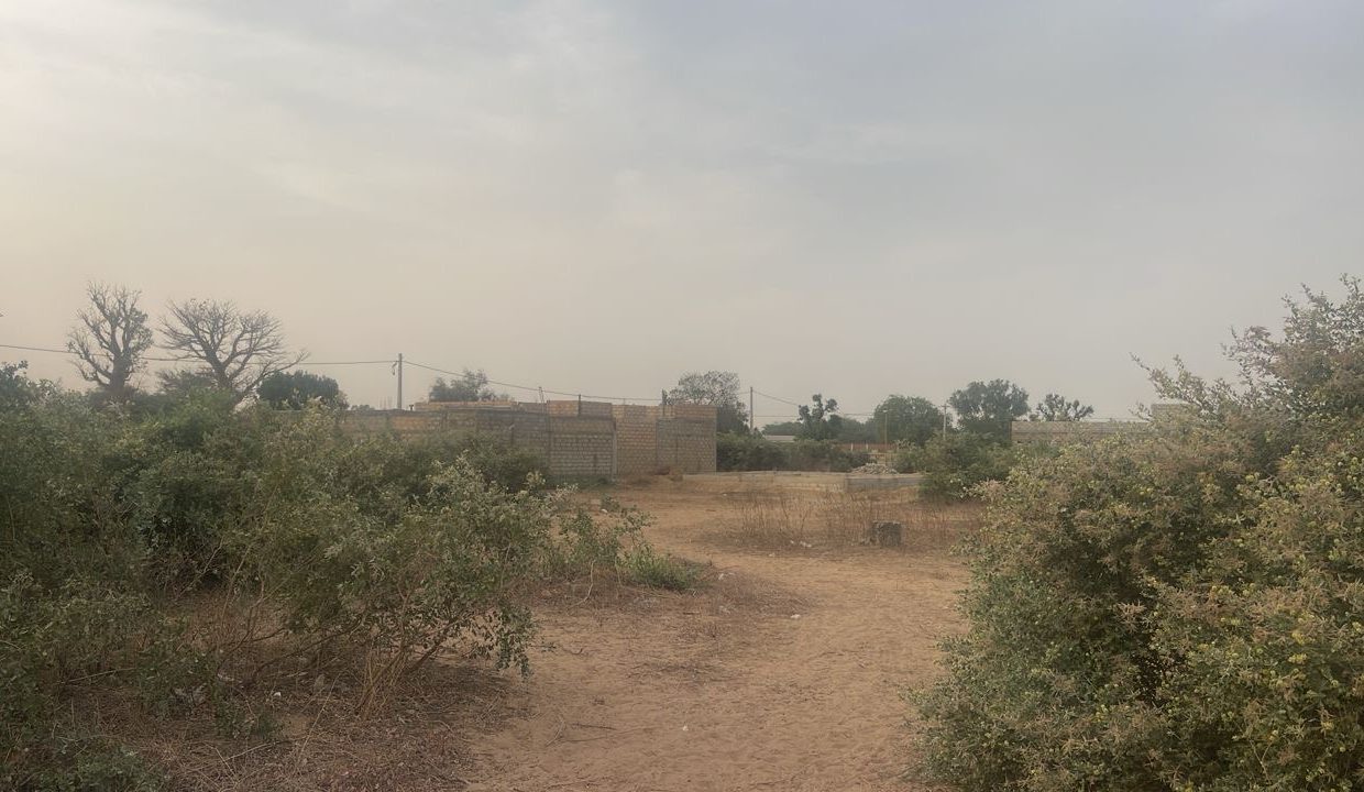 Terrain de 300m2 à malicounda bambara 03