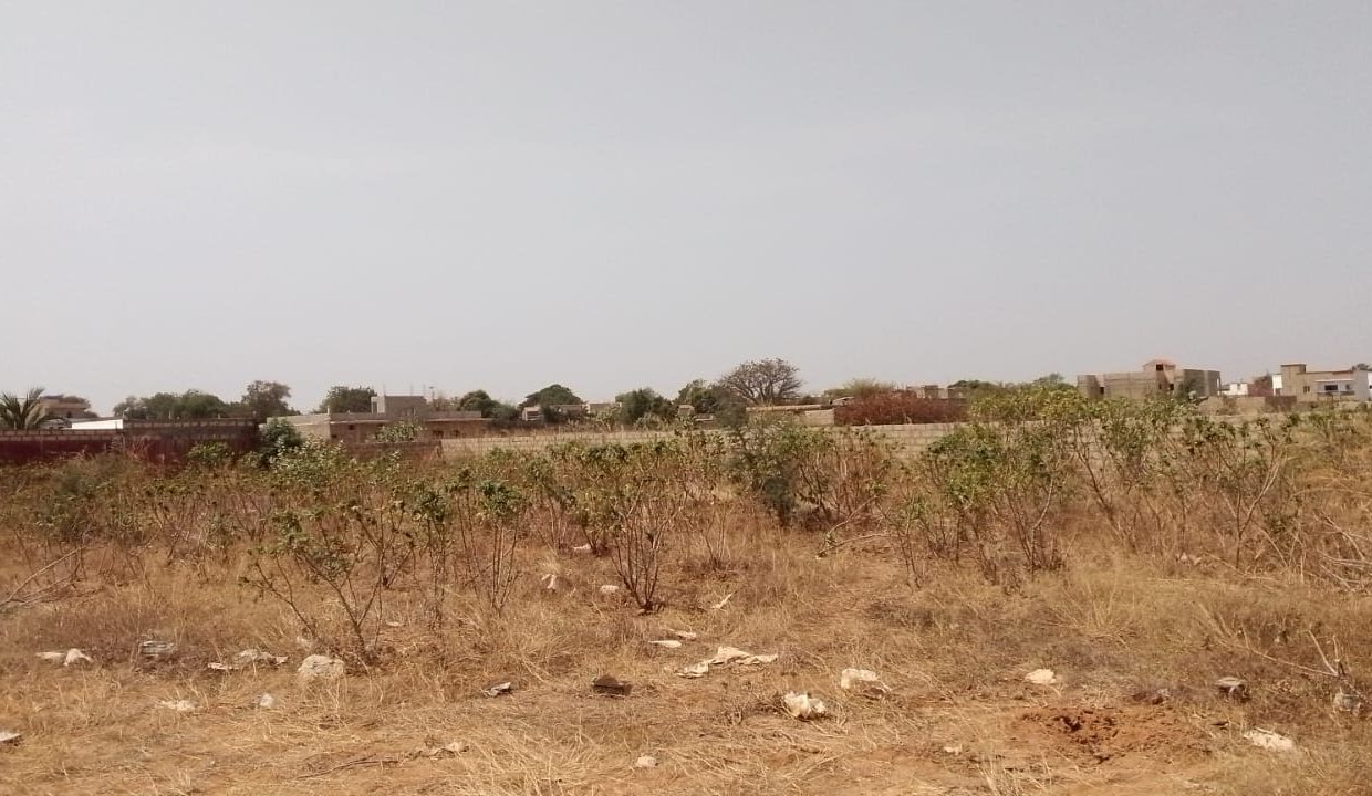 Terrain de 559m2 à nguerigne 03