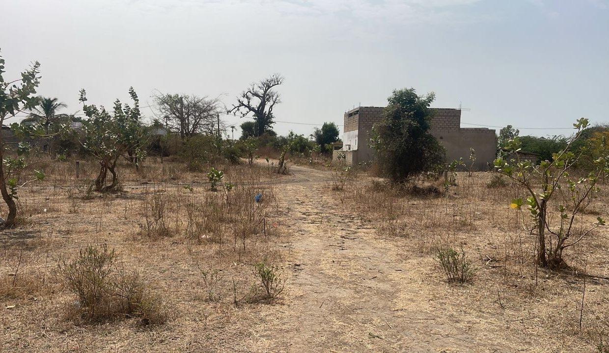 Terrains de 300m2 à mbodjiène 02