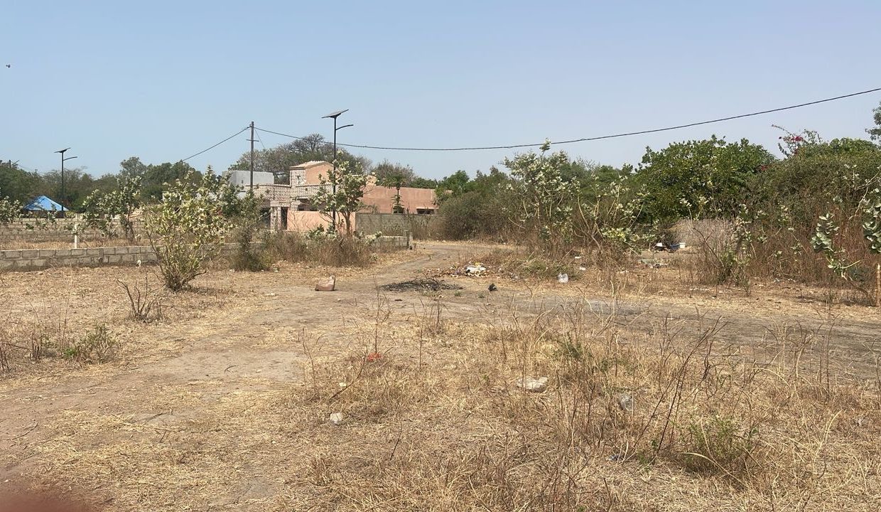 Terrains de 300m2 à mbodjiène 03