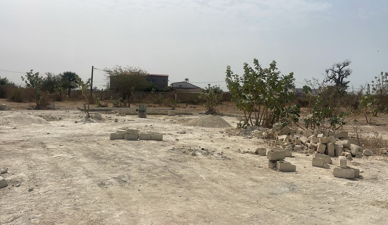 Terrains de 300m2 à mbodjiène 04