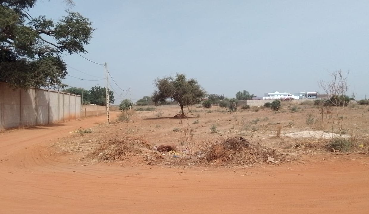 Terrains de 300m2 à nguérigne 04