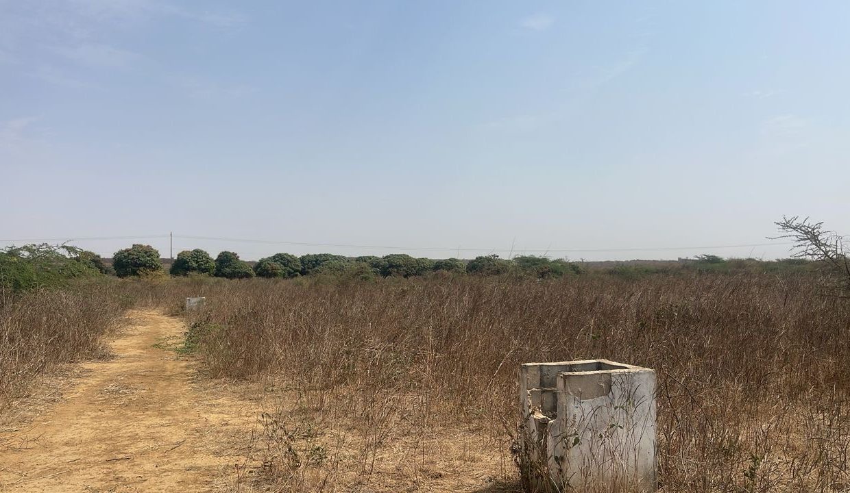 lot de 200m2 à Ndayane 03