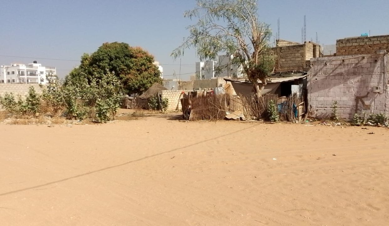 terrain 300m2 à saly darou 03