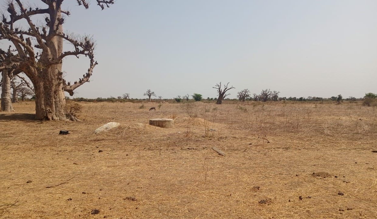 1 hectare à Sandiara 03