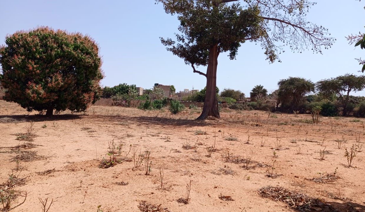 1 hectare à vendre à Sébikotane 02