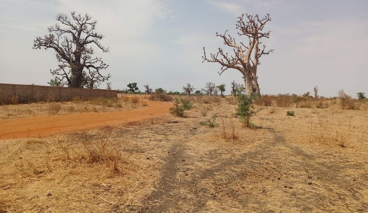 1hectare à Sandiara 01