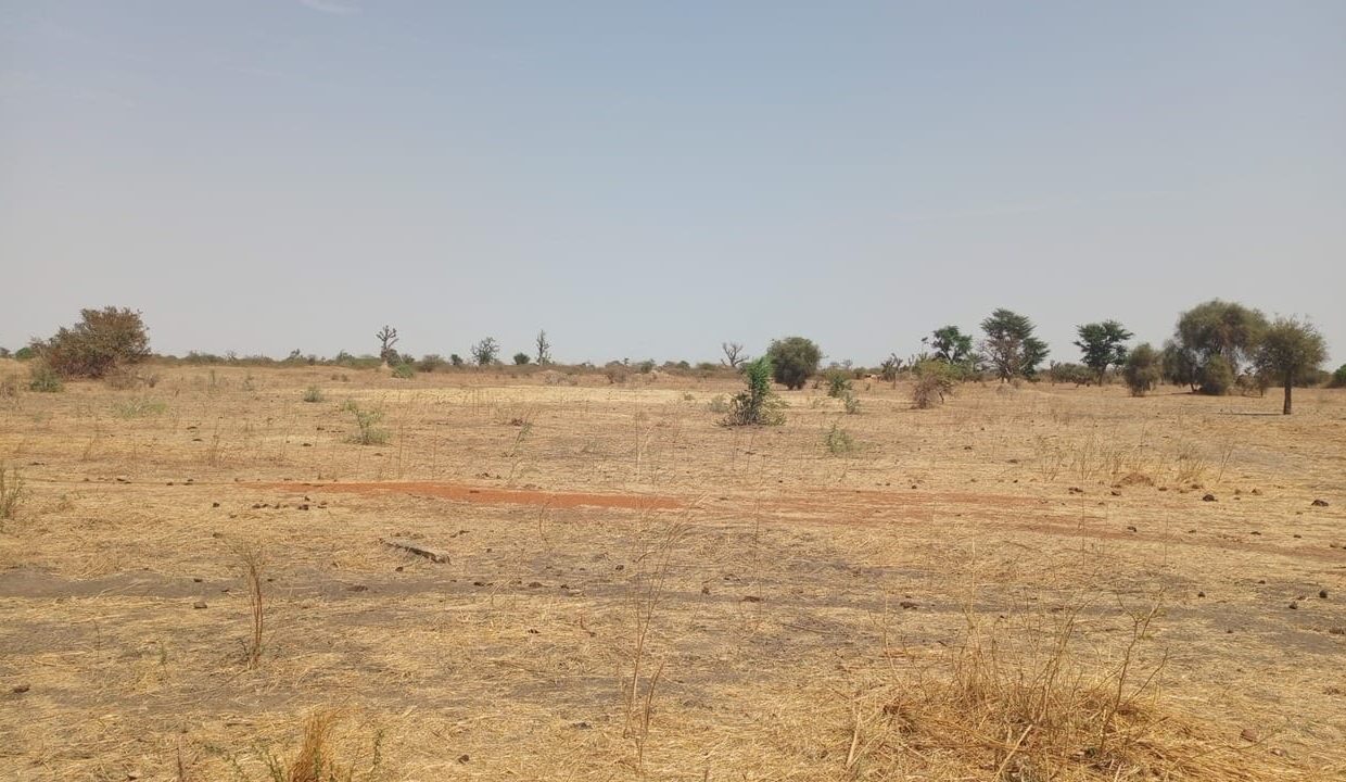 1hectare à Sandiara 02