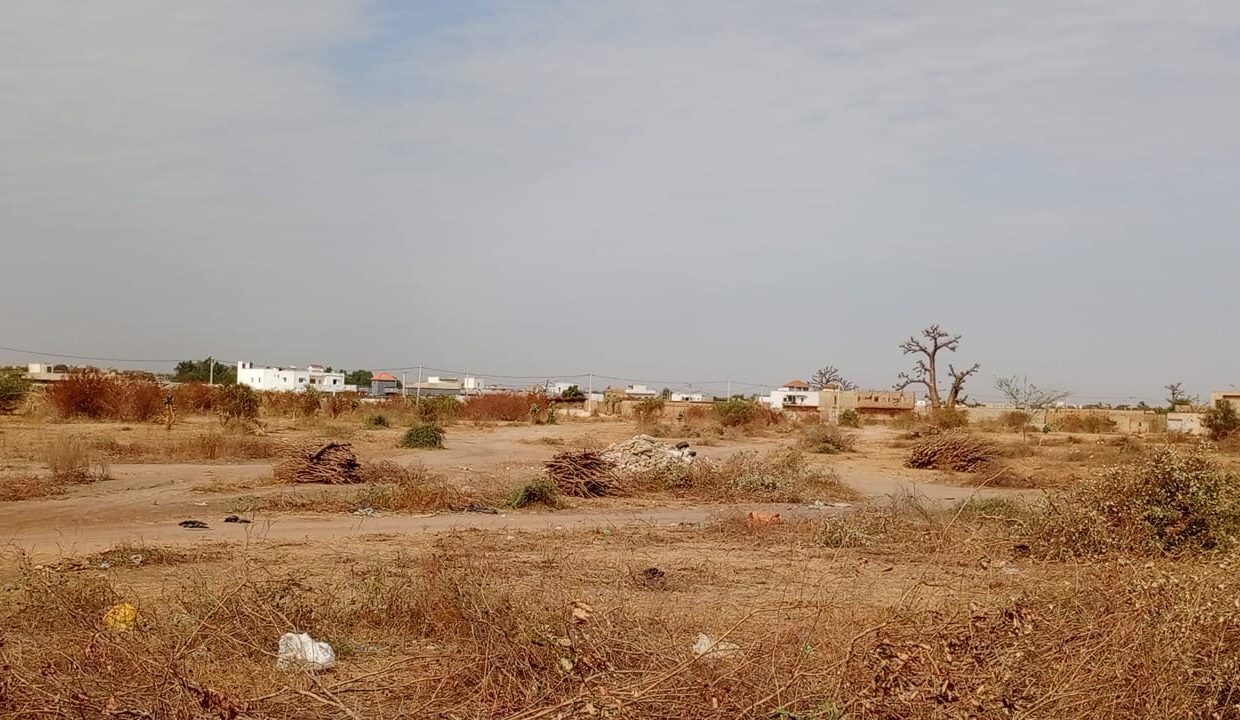 Lot de 500m2 à Saly K Y 02