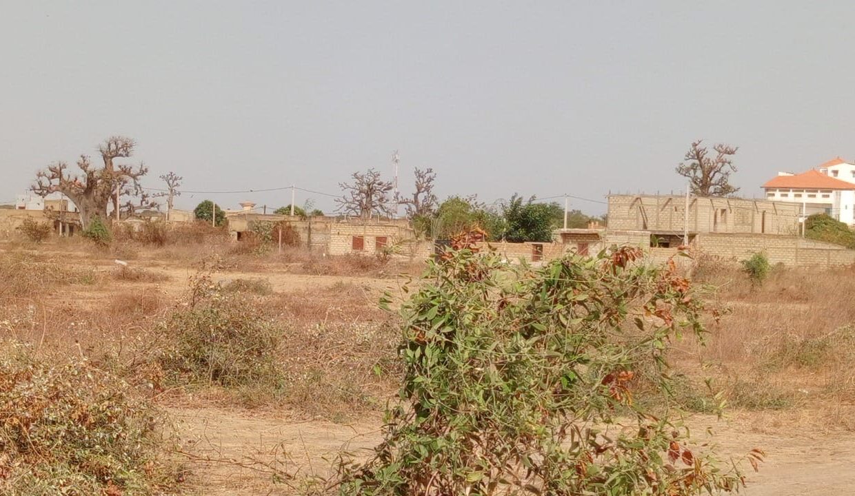 Lot de 500m2 à Saly K Y 03