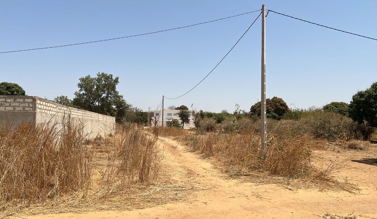 Terrain 600m2 à popenguine 03