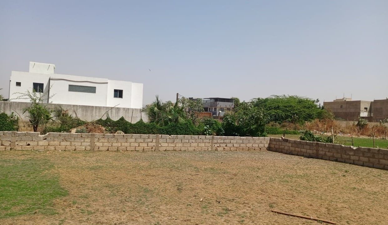 Terrain de 300m2 à Saly darou 02