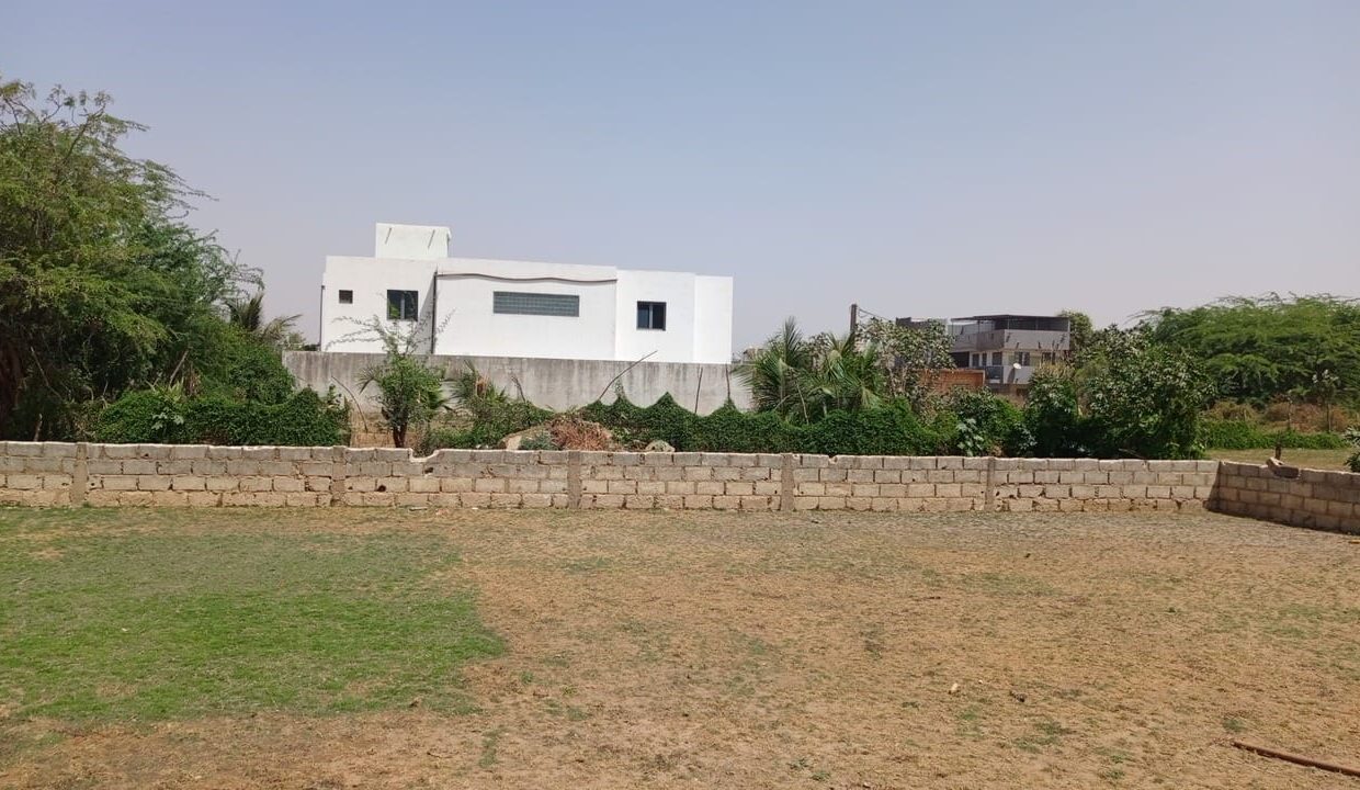 Terrain de 300m2 à Saly darou 03