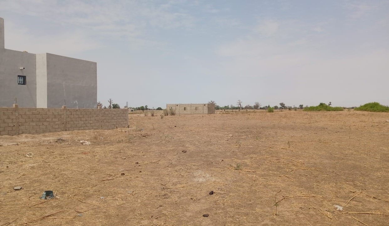 Terrain de 300m2 à Sandiara 02