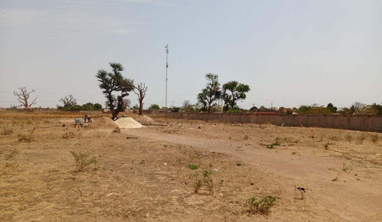 Terrain de 300m2 à Sandiara 04