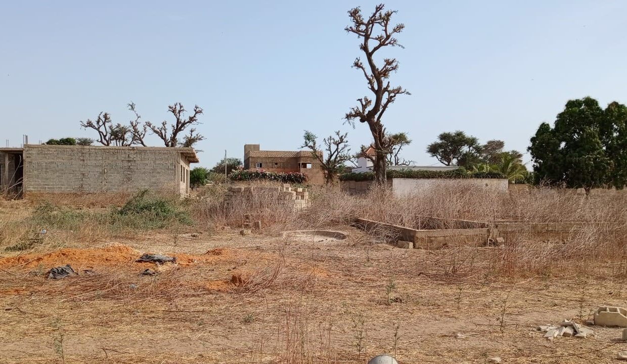 Terrain de 450m2 à Saly 03