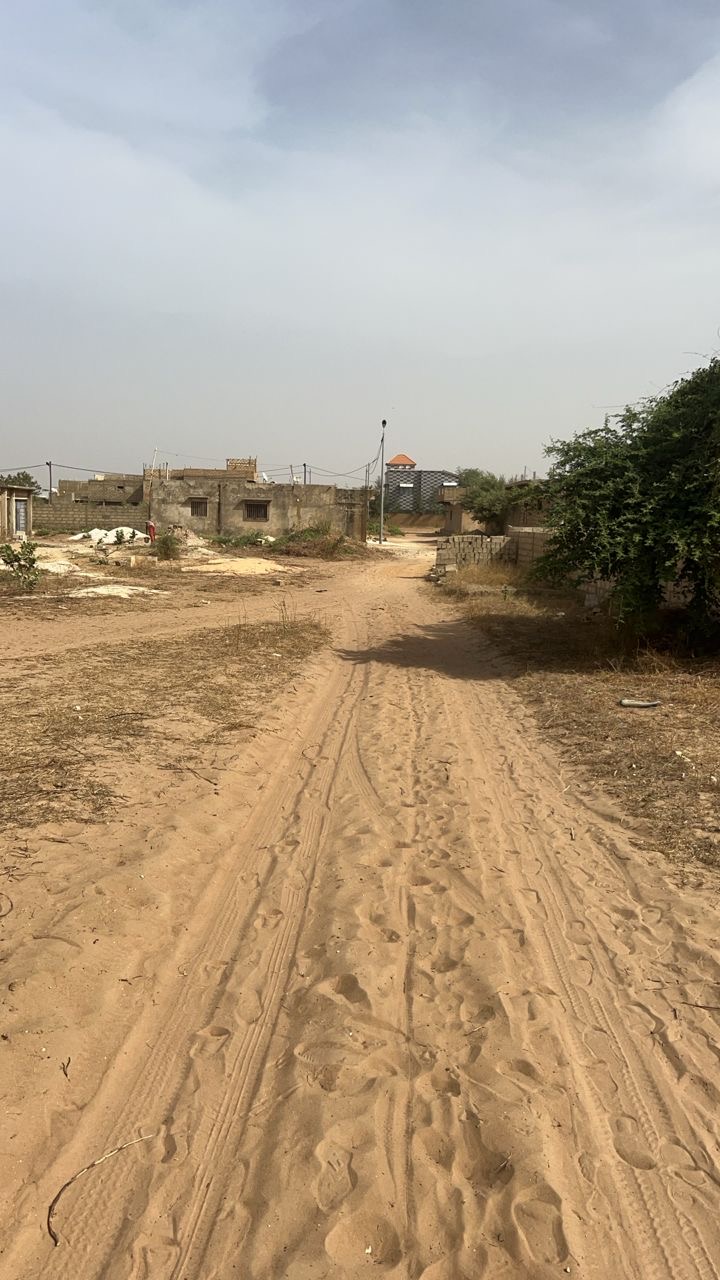 Terrain de 600 mètres carrés à vendre à Saly Sénégal - Immobilier au ...