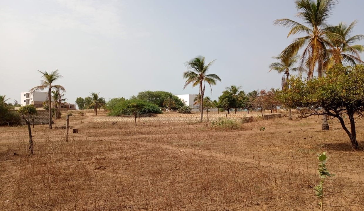 Terrains de 225m2 à pointe sarène 03