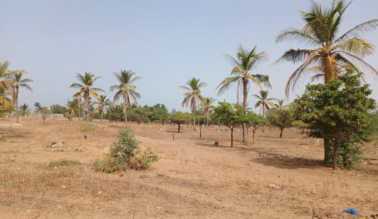 Terrains de 225m2 à pointe sarène 05