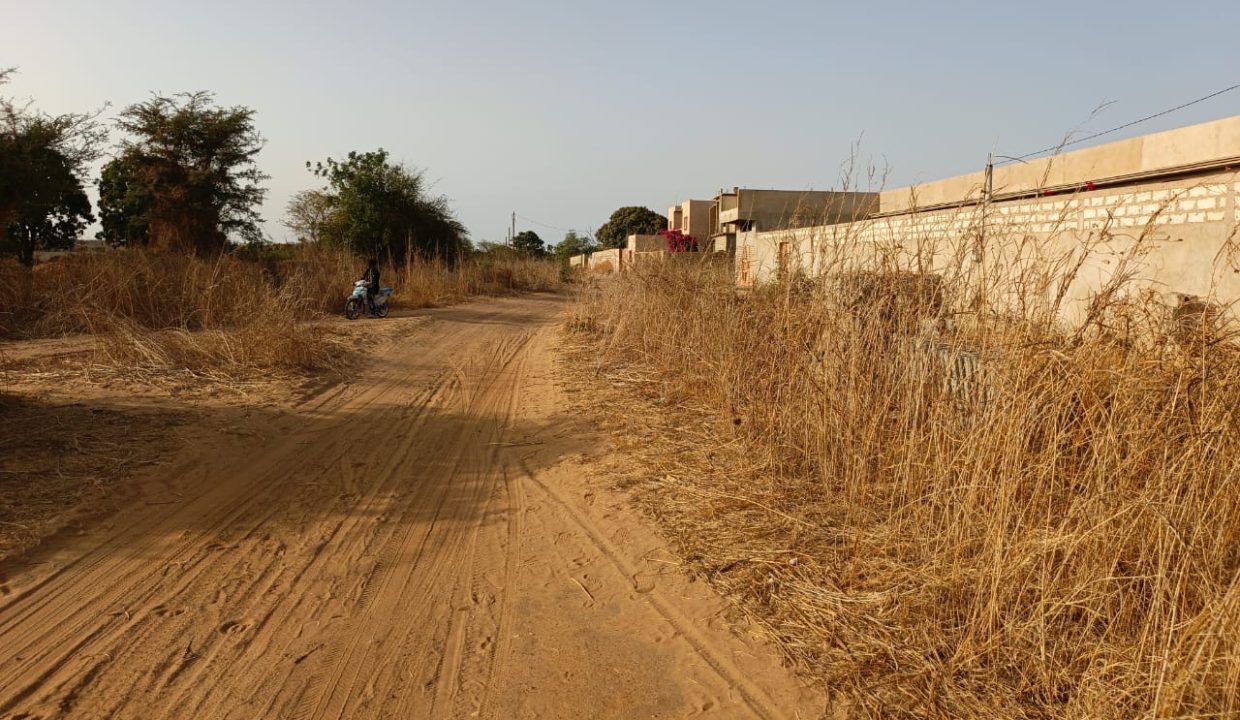 terrain de 600m2 à popenguine 02
