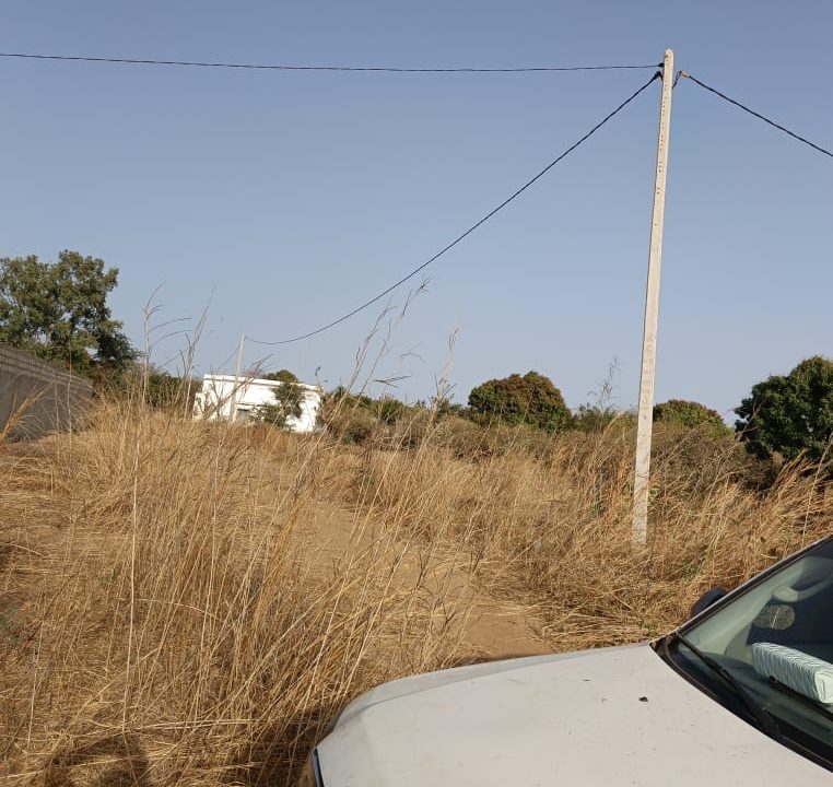 terrain de 600m2 à popenguine 04