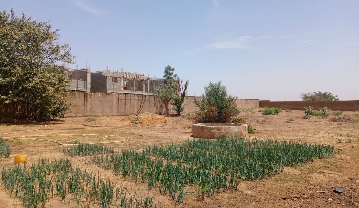 Terrain de 1000m2 à nguérigne 02