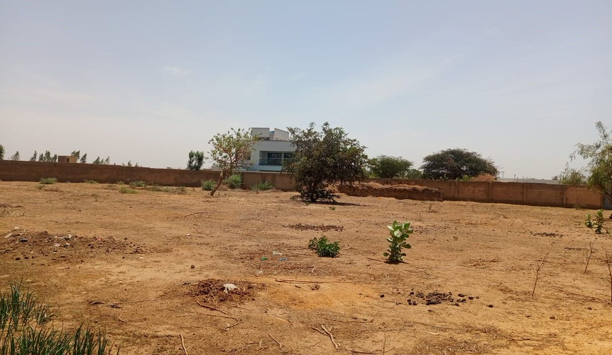 Terrain de 1000m2 à nguérigne 04