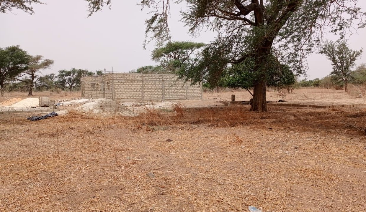 Terrain de 450m2 à malicounda 02