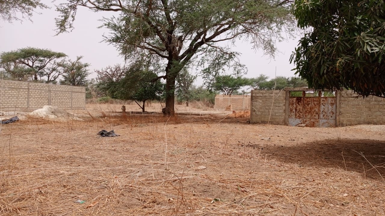 Terrain de 450 mètres carrés à vendre à Malicounda Sénégal