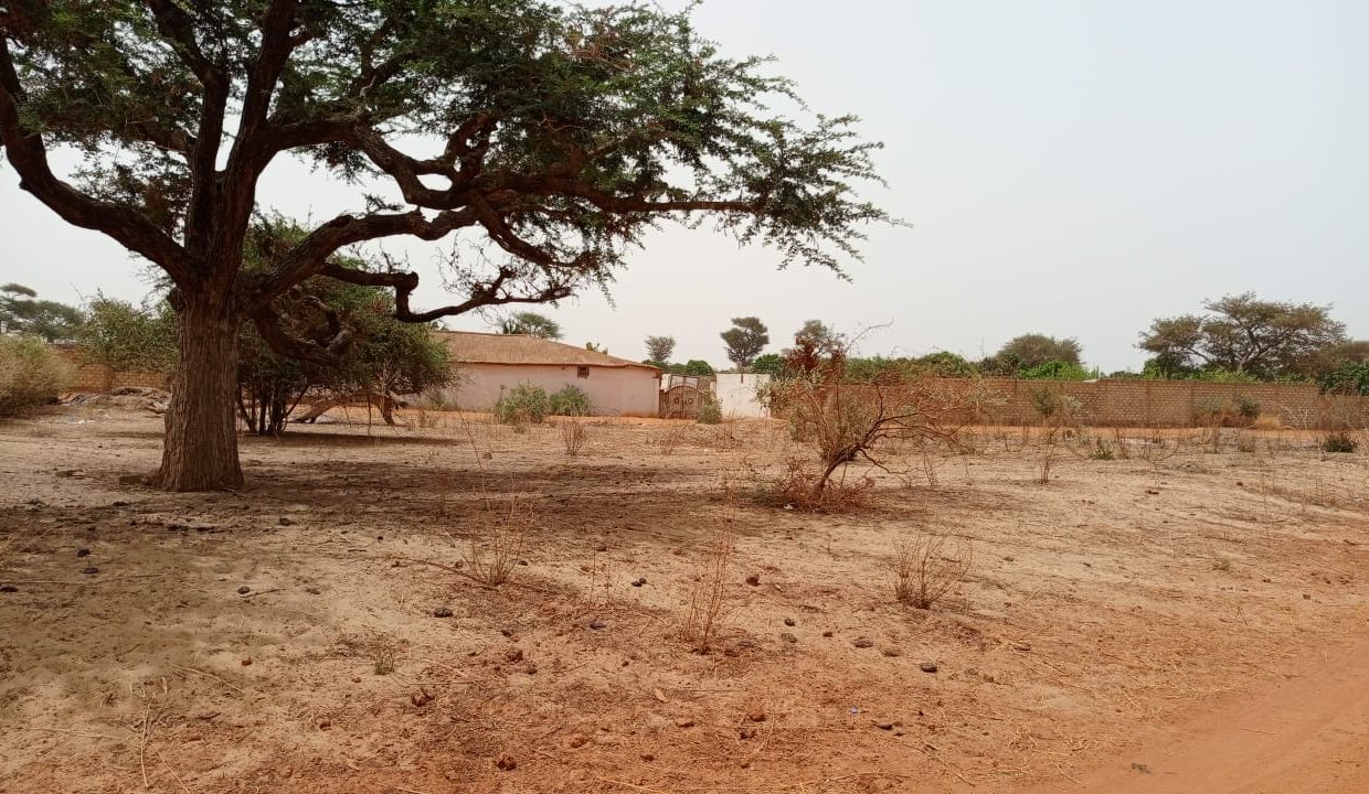 lot 225m2 à Malicounda 02