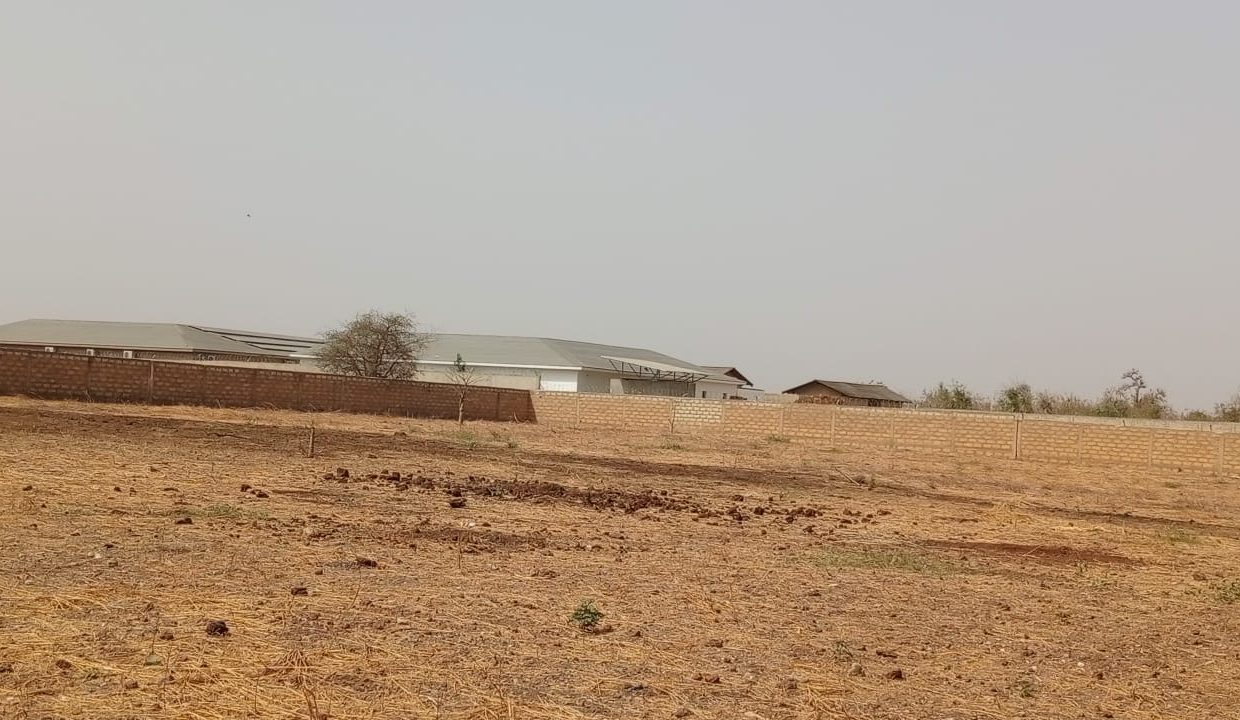 1 Hectare à Ngaparou 03