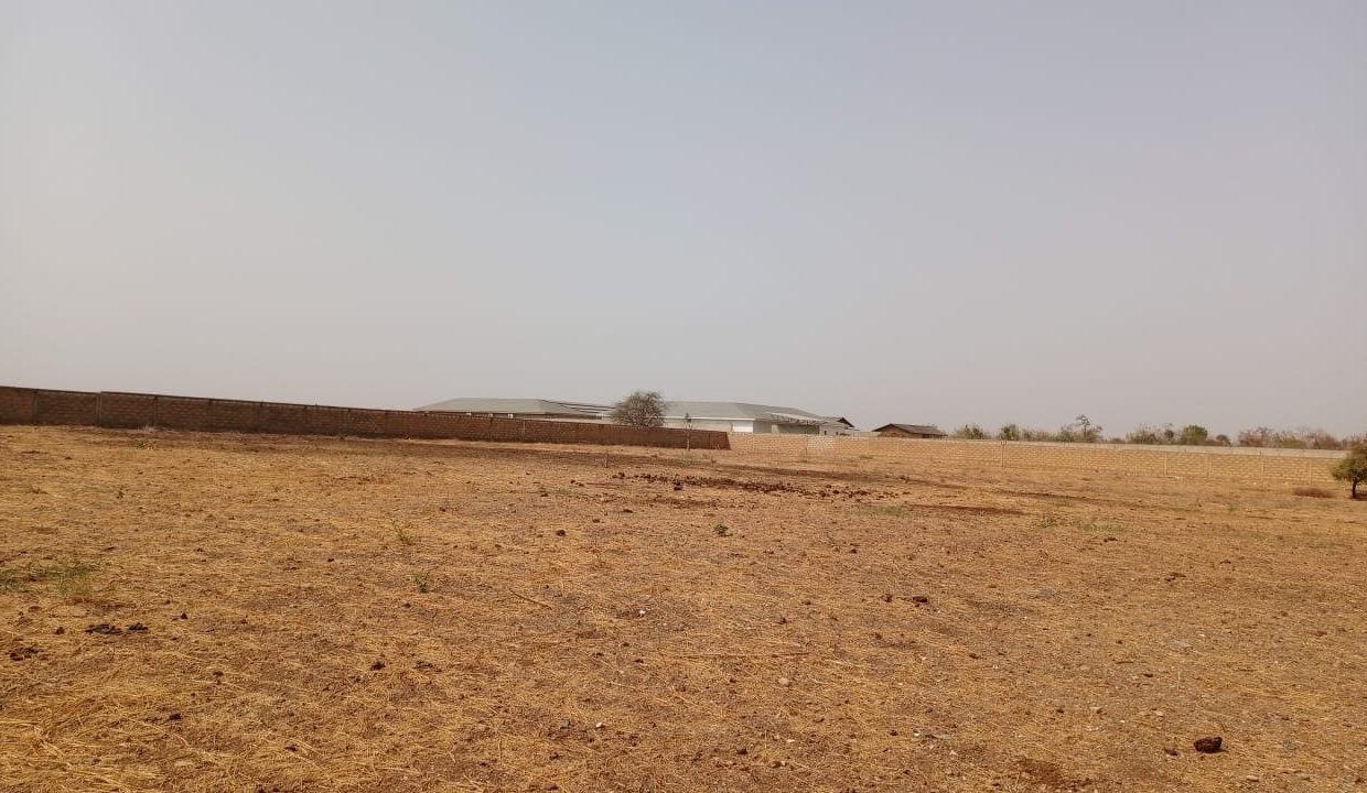1 Hectare à Ngaparou 04