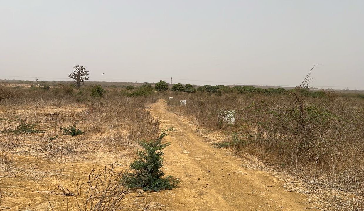 Lot de 200m2 à Ndayane 02