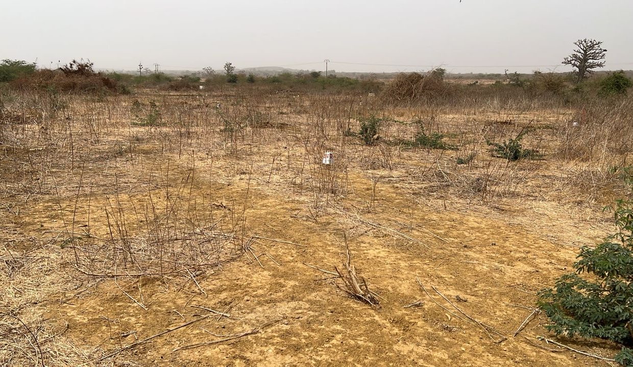 Lot de 200m2 à Ndayane 03