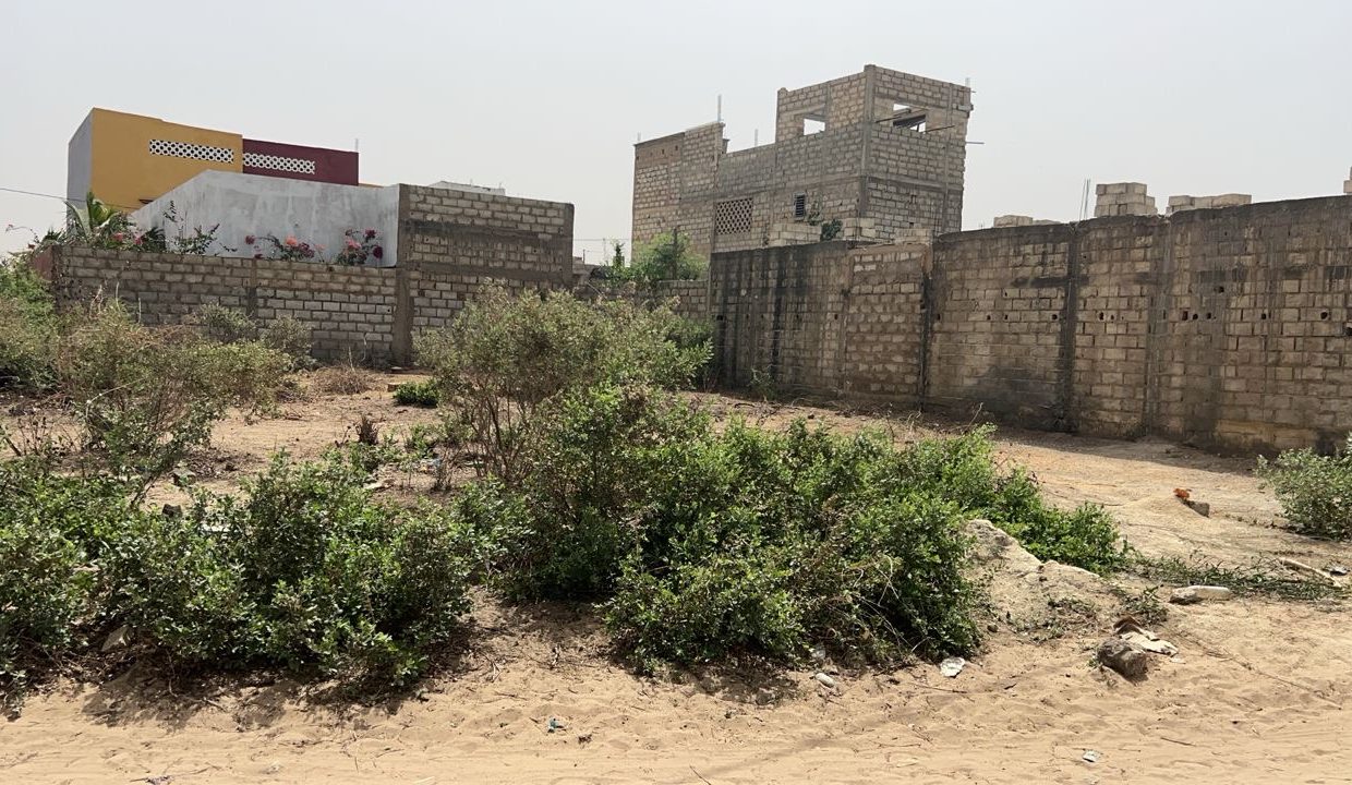 Terrain 300m2 à Saly 02