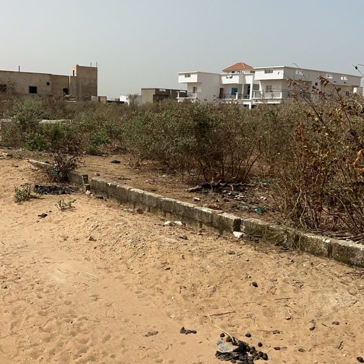 Terrain 300m2 à Saly 04