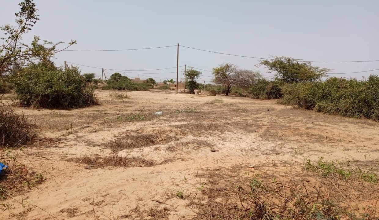 Terrains de 200m2 à Bambilor 02