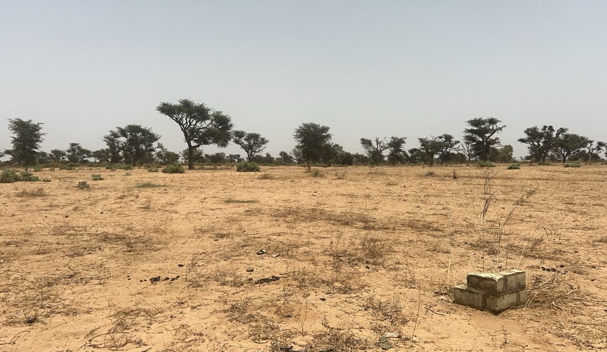 lot de 225m2 à Malicounda 02
