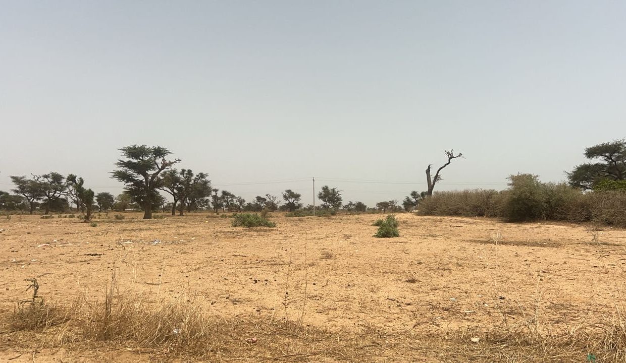 lot de 225m2 à Malicounda 03