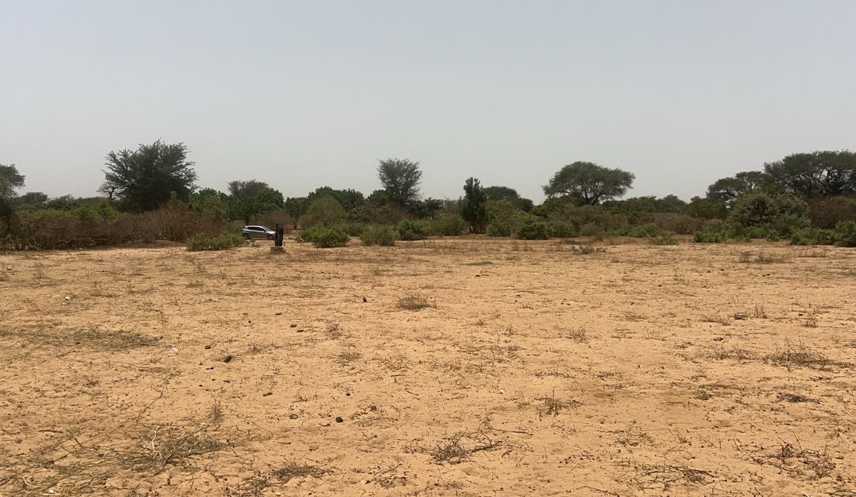 lot de 225m2 à Malicounda 04