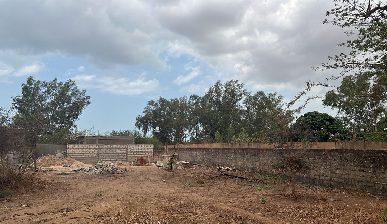 Lot de 4 parcelle à Saly 02