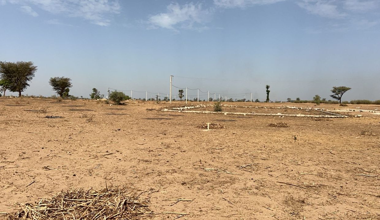 Terrain 300m2 à Louly 02