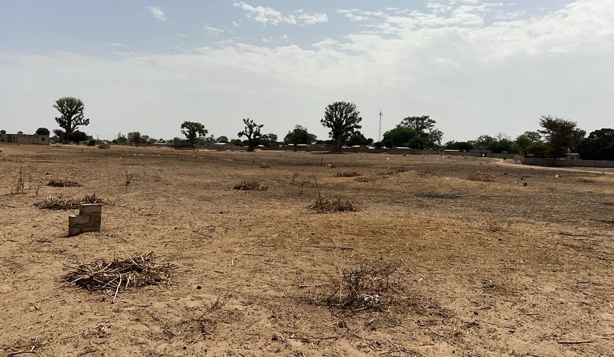 Terrain 300m2 à Louly 03