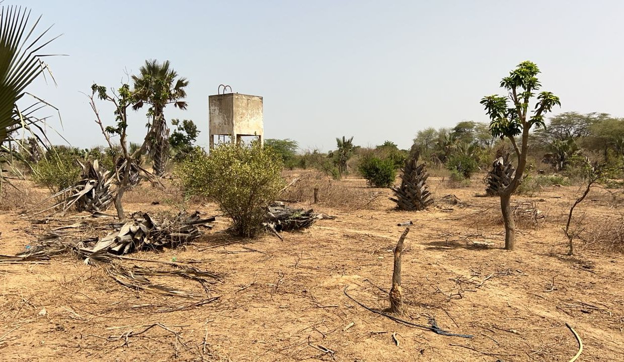 Terrain de 323m2 à Saly joseph 02