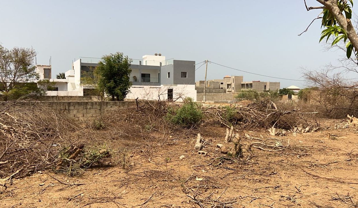 Terrain de 323m2 à Saly joseph 03