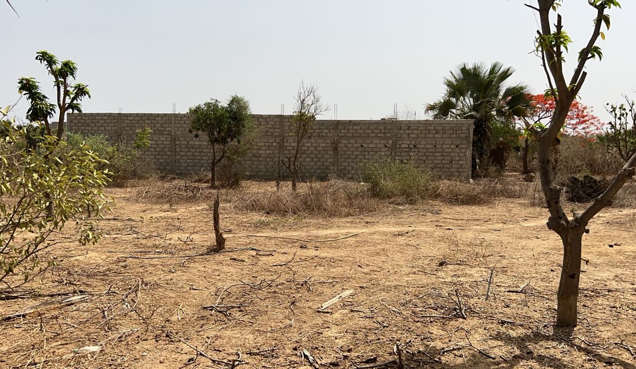 Terrain de 323m2 à Saly joseph 04