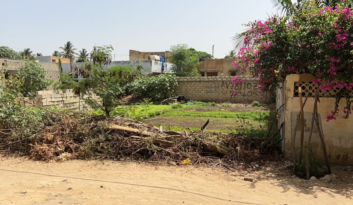 Terrain de 500m2 à Mbour 05