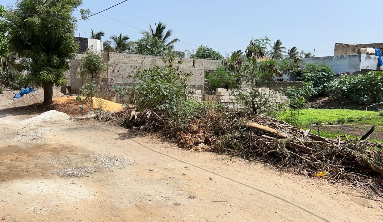 Terrain de 500m2 à Mbour 06